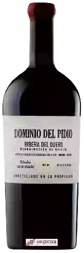 Winery Cillar de Silos - Dominio del Pidio