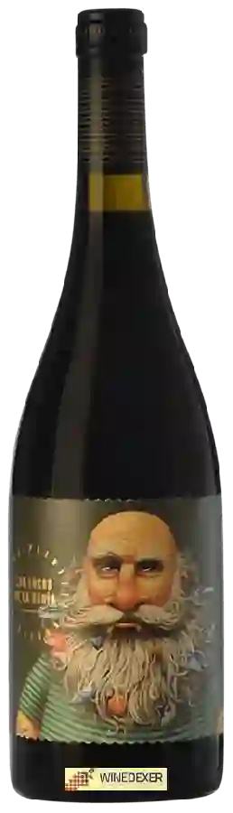 Winery Crusoe Treasure - Los Locos de la Bahia Tinfar