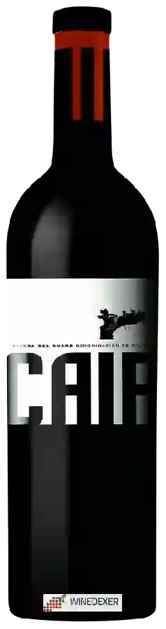 Winery Dominio de Cair - Cair