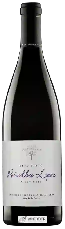 Winery Finca Torremilanos - Peñalba López Pinot Noir Winery Finca Torremilanos - Peñalba López Pinot Noir