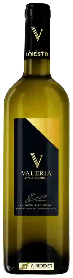 Bodega Iniesta - Finca el Carril Valeria Bodega Iniesta - Finca el Carril Valeria