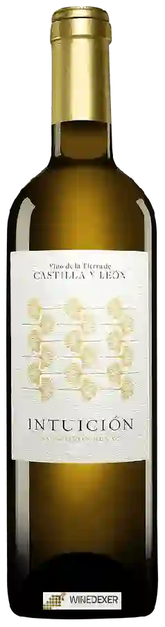 Winery Intuición - Sauvignon Blanc Winery Intuición - Sauvignon Blanc