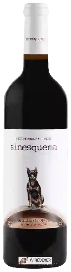 Winery Jorge Piernas - Sinesquema Winery Jorge Piernas - Sinesquema