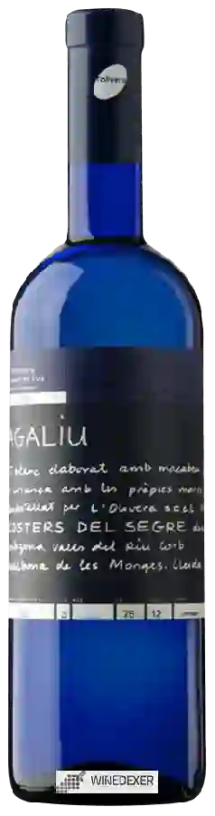 Winery L'Olivera - Agaliu Winery L'Olivera - Agaliu