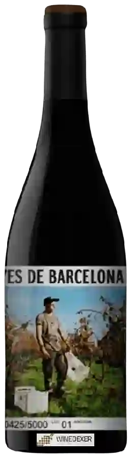 Winery L'Olivera - Vinyes de Barcelona