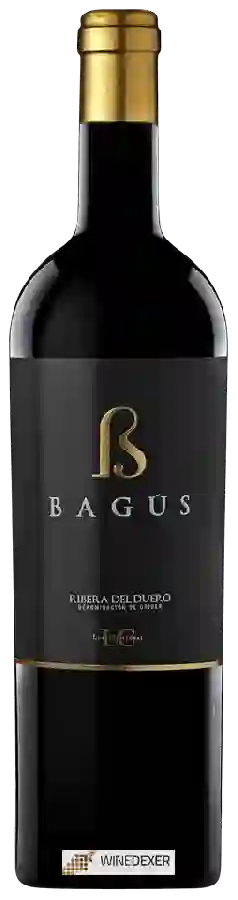 Winery Lopez Cristobal - Bag&uacutes Ribera del Duero