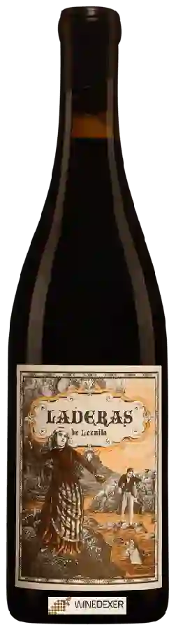 Winery Màquina y Tabla - Laderas de Leonila Winery Màquina y Tabla - Laderas de Leonila