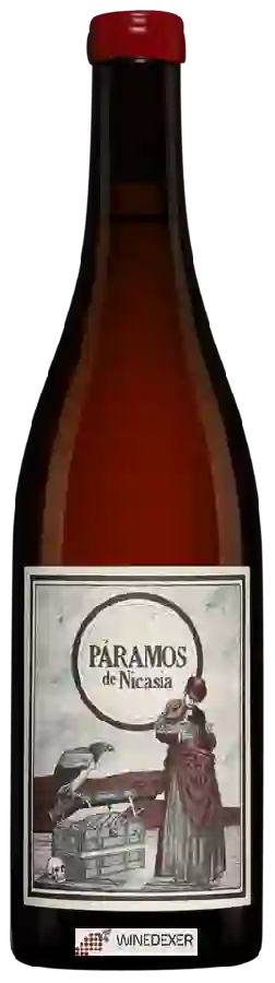 Winery Màquina y Tabla - Páramos de Nicasia Rosé
