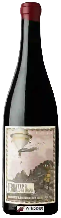 Winery Màquina y Tabla - Terrazas de Serapia