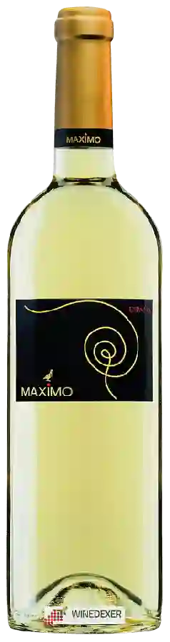 Winery Maximo - Viura Winery Maximo - Viura