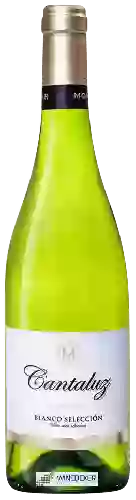 Winery Monóvar - Cantaluz Blanco Selección