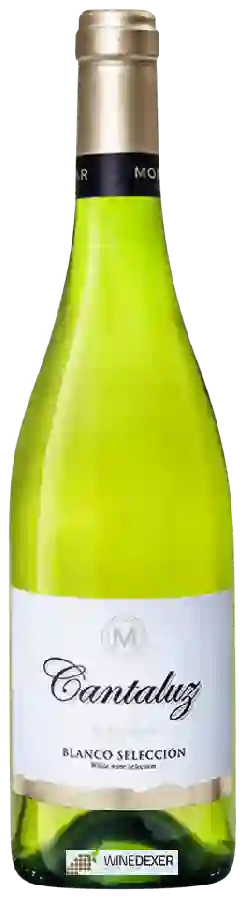 Winery Monóvar - Cantaluz Blanco Selección