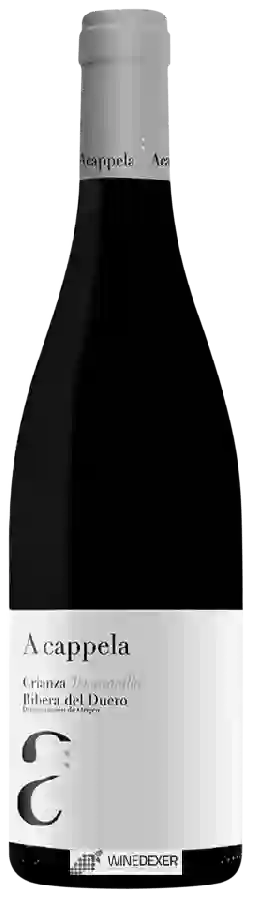 Winery Monteabellon - A Cappela Crianza