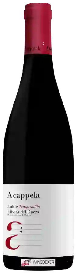 Winery Monteabellon - A Cappela Roble