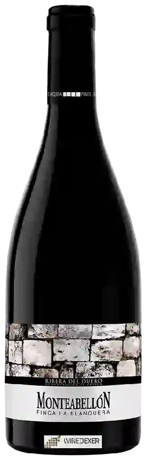 Winery Monteabellon - Finca la Blanquera