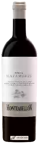 Winery Monteabellon - Finca Matambres
