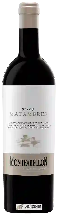 Winery Monteabellon - Finca Matambres