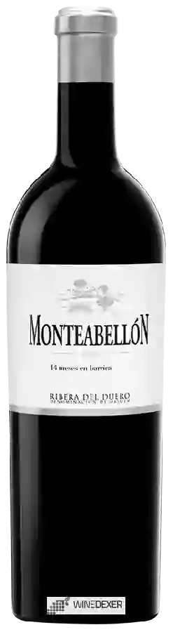 Winery Monteabellon - Ribera del Duero 14 Meses en Barrica