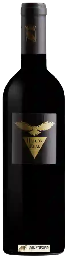 Winery Museum - Halcon Real