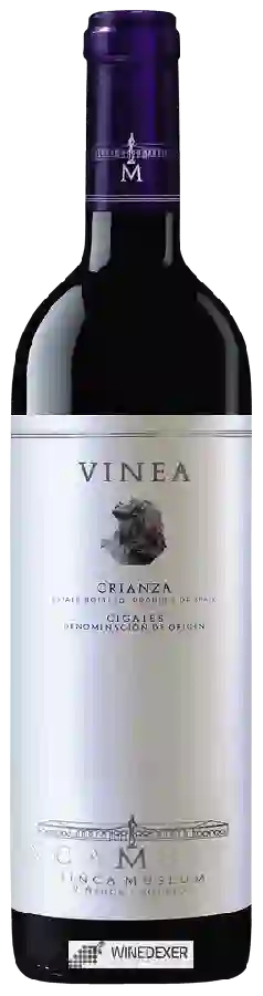 Winery Museum - Vinea Artis Crianza Winery Museum - Vinea Artis Crianza