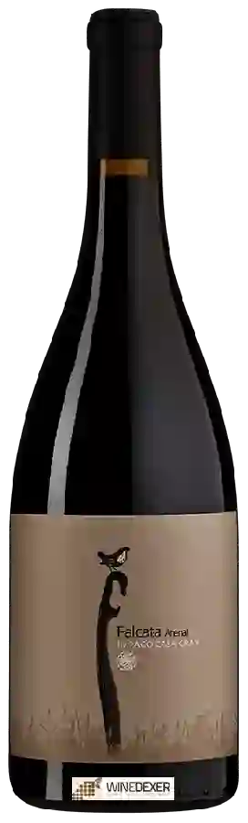 Winery Pago Casa Gran - Falcata Arenal Winery Pago Casa Gran - Falcata Arenal