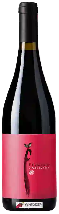 Winery Pago Casa Gran - Falcata Casa Gran Crianza