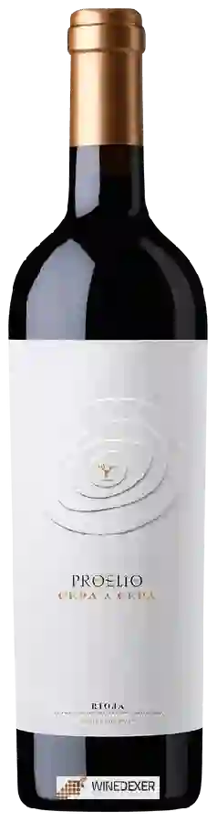Winery Proelio - Cepa a Cepa Winery Proelio - Cepa a Cepa