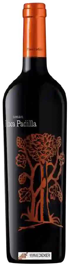 Winery Tamaral - Finca Padilla