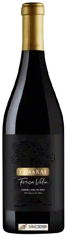Winery Tamaral - Finca Velia Ribera del Duero