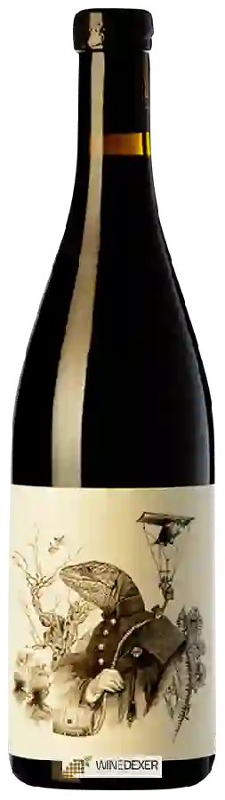 Winery Tentenublo - Escondite del Ardacho Las Guillermas Winery Tentenublo - Escondite del Ardacho Las Guillermas