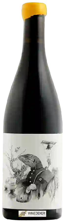 Winery Tentenublo - Escondite del Ardacho 'Veriquete'