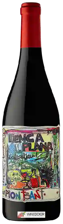 Winery Terra de Falanis - Llenca Plana Montsant