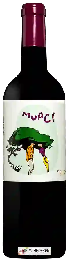 Winery Terra de Falanis - MUAC