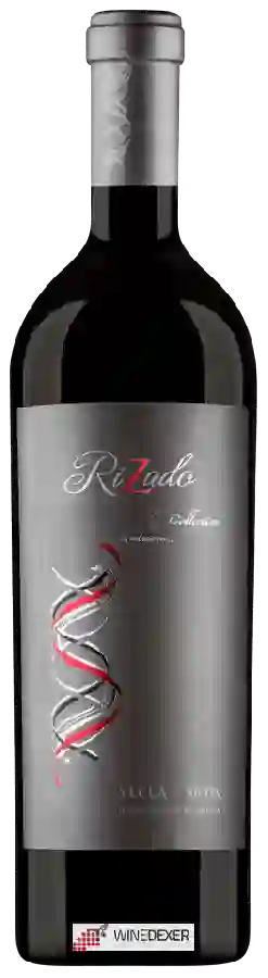 Winery Trenza - Rizada Family Collection