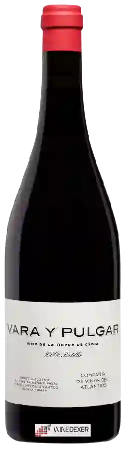 Winery Vara Y Pulgar - Tintilla