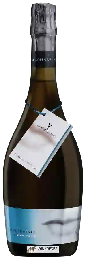 Winery Vilarnau - Albert de Vilarnau Chardonnay - Pinot Noir Winery Vilarnau - Albert de Vilarnau Chardonnay - Pinot Noir