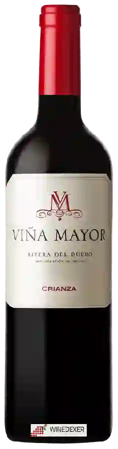Winery Viña Mayor - Ribera del Duero Crianza