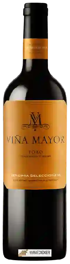 Winery Viña Mayor - Vendimia Seleccionada