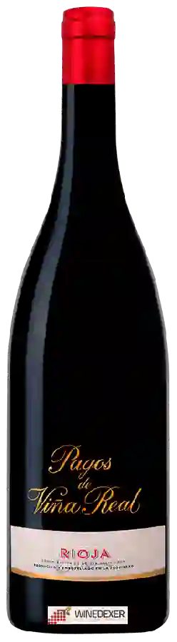 Winery Viña Real - Rioja Pagos de Viña Real Winery Viña Real - Rioja Pagos de Viña Real