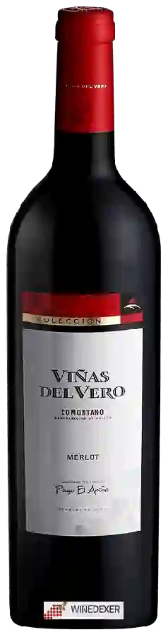 Winery Viñas del Vero - Colección Pago El Ariño Merlot Somontano