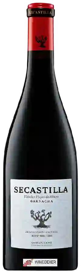 Winery Viñas del Vero - Secastilla