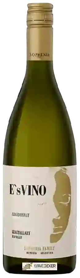 Winery E.S. Vino - Chardonnay