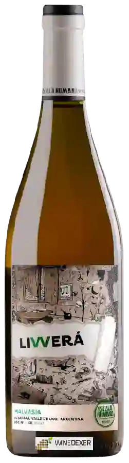 Winery Escala Humana - Livverá Malvasia Winery Escala Humana - Livverá Malvasia