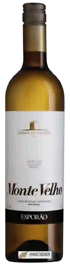 Winery Esporão - Monte Velho Branco