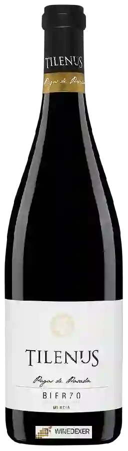 Winery Estefanía - Tilenus Pagos de Posada Bierzo Mencia