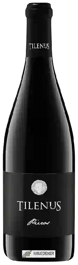 Winery Estefanía - Tilenus Pieros