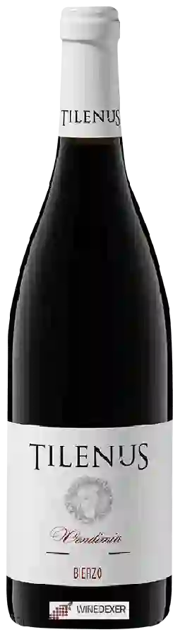 Winery Estefanía - Tilenus Vendimia Bierzo Winery Estefanía - Tilenus Vendimia Bierzo
