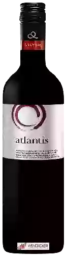 Winery Argyros - Atlantis Red