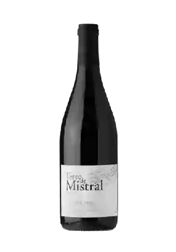 Winery Estezargues - Terre de Mistral Reserve Côtes du Rhône