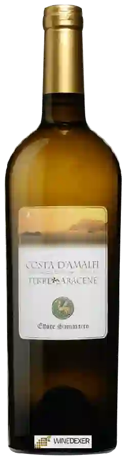 Winery Ettore Sammarco - Terre Saracene Bianco Winery Ettore Sammarco - Terre Saracene Bianco